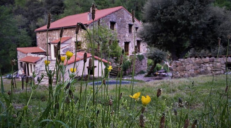 Mas de La Fargassa - Gîte